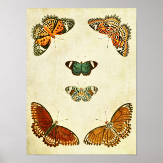 Papillon vintage Impression 295