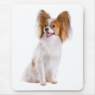 Papillon-Welpen-Mama Hunde Liebhaber Welpen Fell Mousepad
