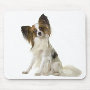 Papillon-Welpen-Mama-Hundefreundin Fell-Mama Mousepad
