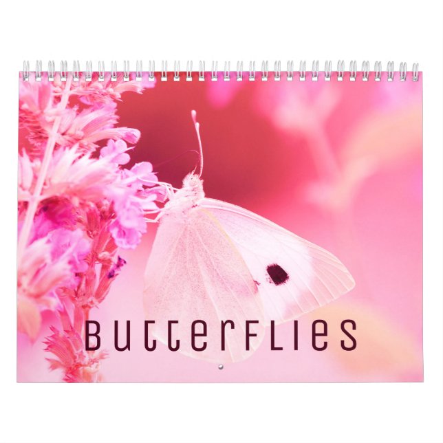 Papillons [2] Calendrier mural (Protection)