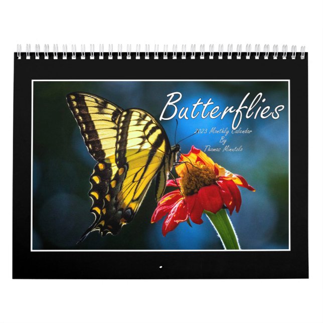Papillons Calendrier 2023 Par Tom Minutolo (Protection)