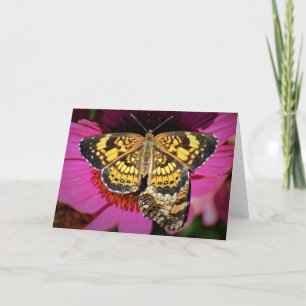 Papillons, carte