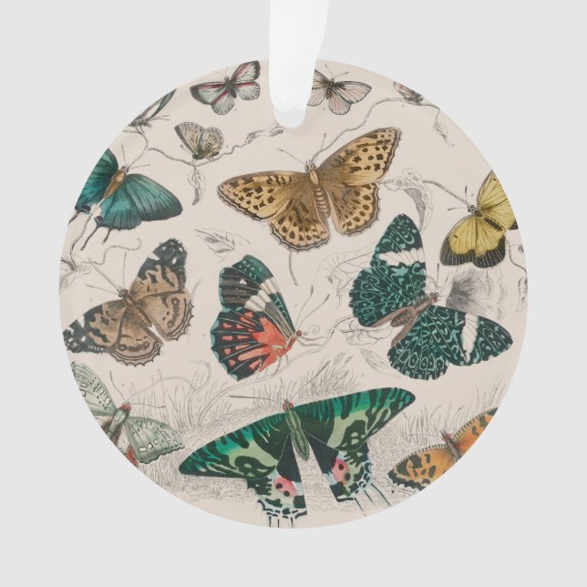Papillons Collection Antique Papillons (devant)