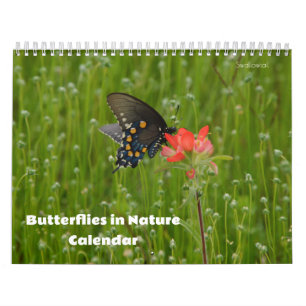 Papillons dans le calendrier naturel