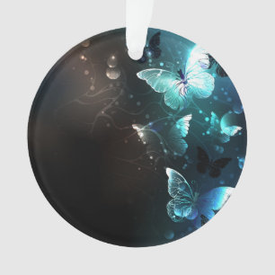 Papillons de nuit
