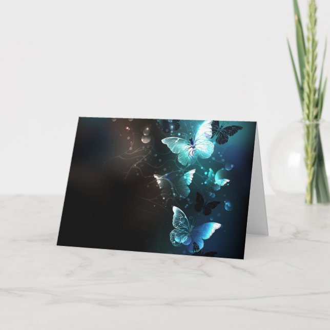 Papillons de nuit (Devant)