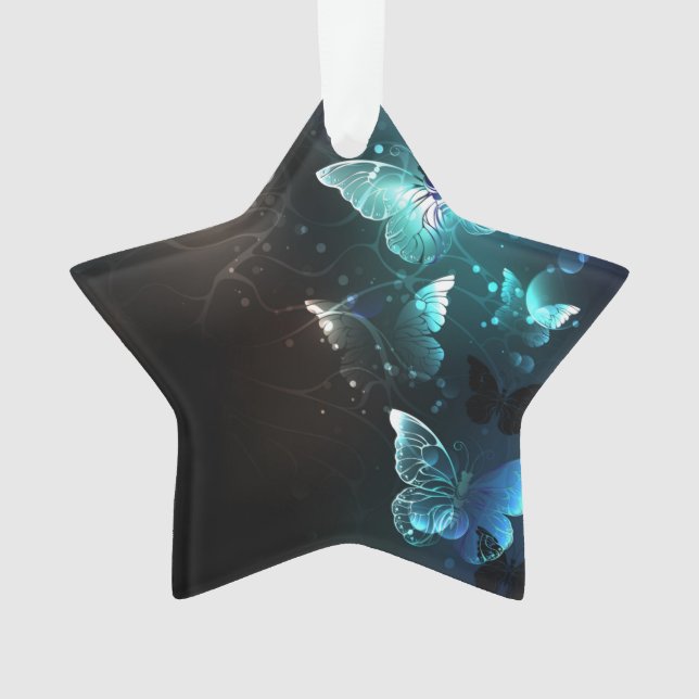 Papillons de nuit (devant)