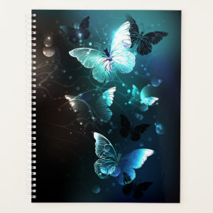Papillons de nuit