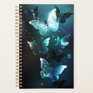 Papillons de nuit