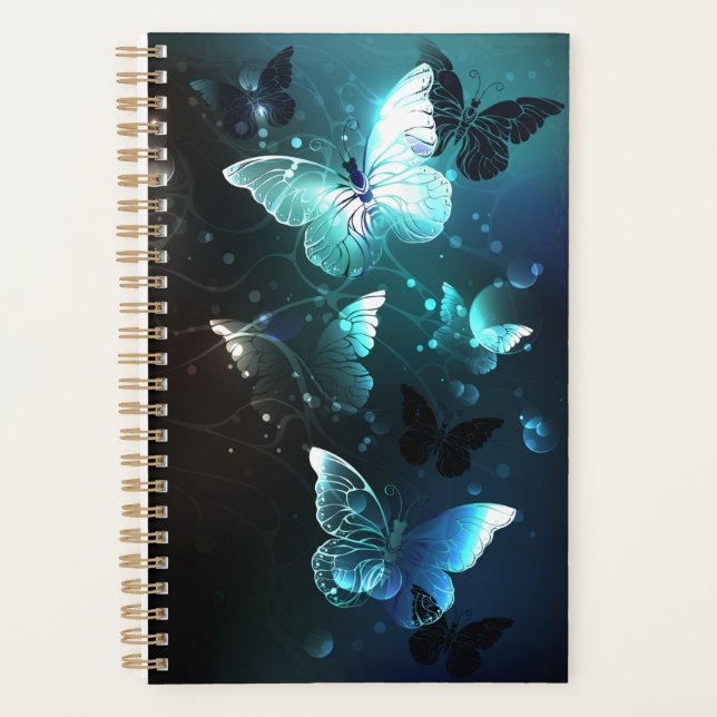 Papillons de nuit (Devant)