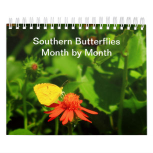 Papillons du Sud Mois par Mois Calendrier 2023