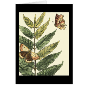 Papillons et Feuilles avec cadre noir