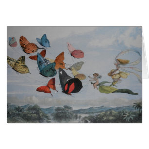 Papillons et papillons de la reine des fées