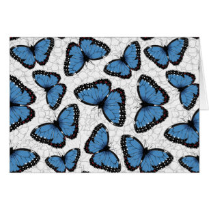 Papillons morpho bleu