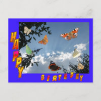 Papillons Néerlandais Bleu Bonne Carte postale Ann