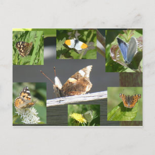 Papillons néerlandais Collage do-it-yourself carte
