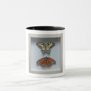 Papillons tasse d'entomologie "dans cadre"