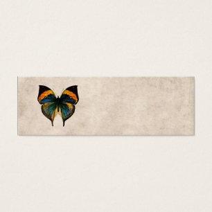 Papillons vintages de l'illustration 1800's de