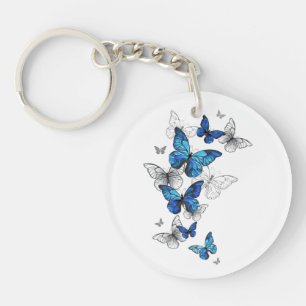 Papillons volants bleus Morpho