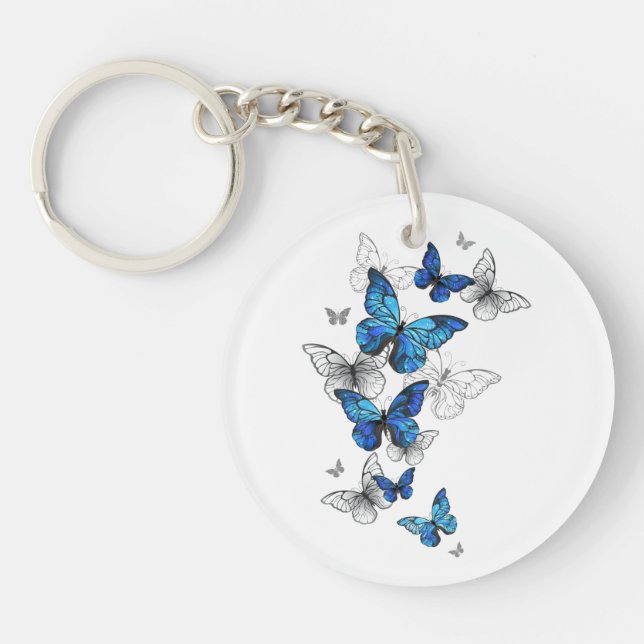 Papillons volants bleus Morpho (Devant)