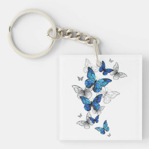 Papillons volants bleus Morpho
