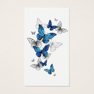 Papillons volants bleus Morpho