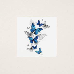 Papillons volants bleus Morpho