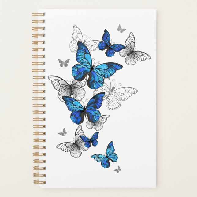 Papillons volants bleus Morpho (Devant)