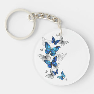 Papillons volants bleus Morpho