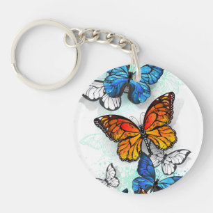 Papillons volants Morpho et Monarch