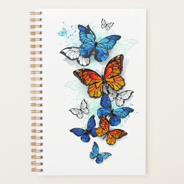 Papillons volants Morpho et Monarch (Devant)