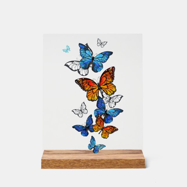 Papillons volants Morpho et Monarch (Recto)