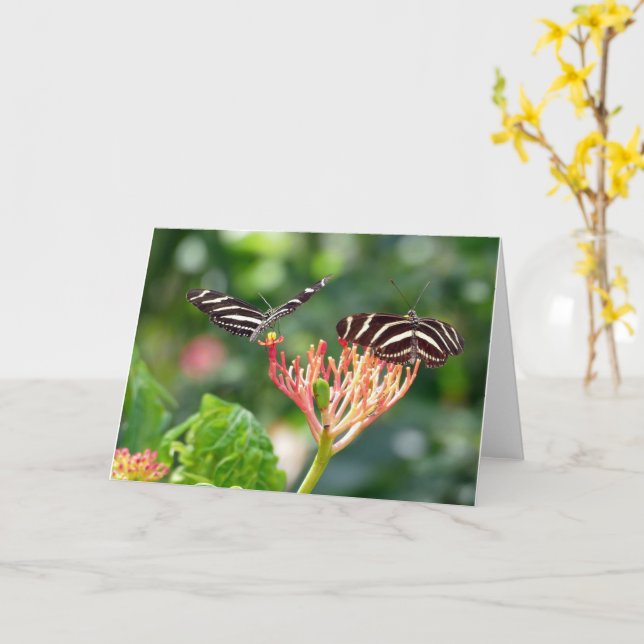 Papillons Zebra Longwing, FL - carte (Fleur jaune)