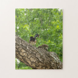 Pappa Woodduck