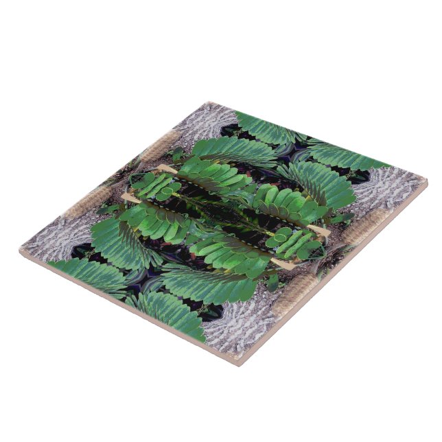 Pappe Palm Pattern Fliese (Seite)