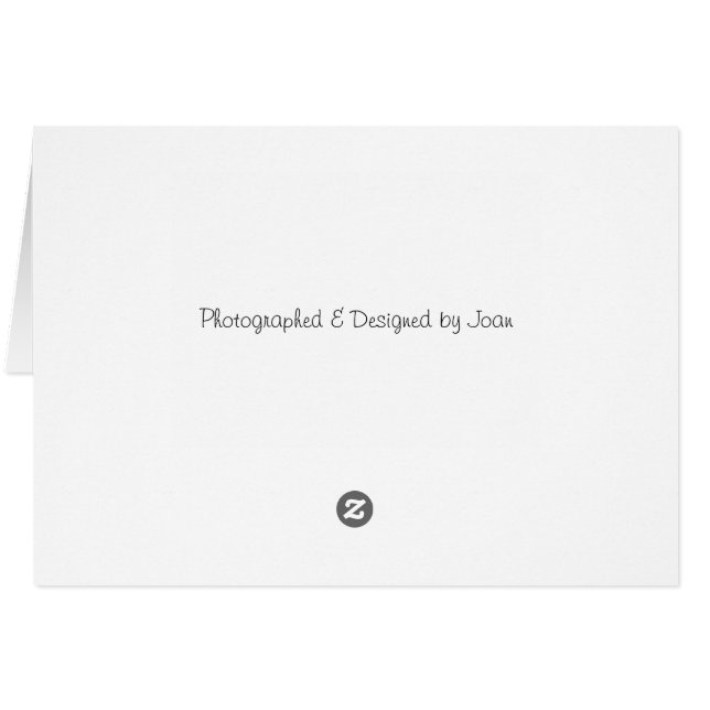 Pappel (Rückseite Horizontal)