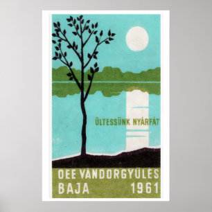 Pappel Bäume pflanzen! - Streichholzschachtel Druc Poster