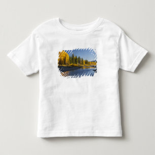 Pappel-Bäume spiegeln sich in Pacific Creek Kleinkind T-shirt