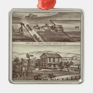 Pappelranchs Ornament Aus Metall