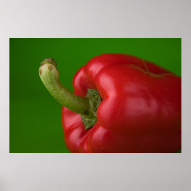 Paprika Poster (Vorne)