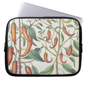 Paprikaschoten: 1.Piper Indicum Maximum longum; Laptopschutzhülle