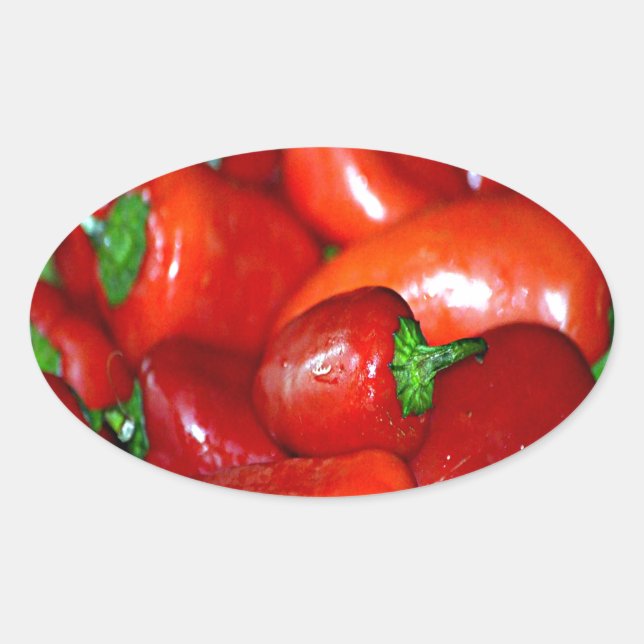 Paprikaschoten des neuen Mexiko-Chilis (Chile) Ovaler Aufkleber (Vorderseite)