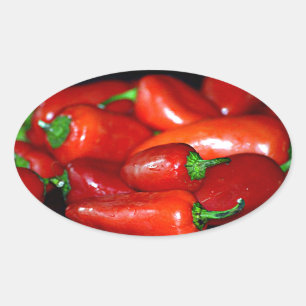 Paprikaschoten des neuen Mexiko-Chilis (Chile) Ovaler Aufkleber