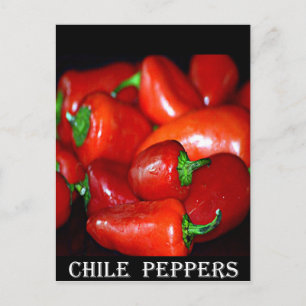 Paprikaschoten des neuen Mexiko-Chilis (Chile) Postkarte