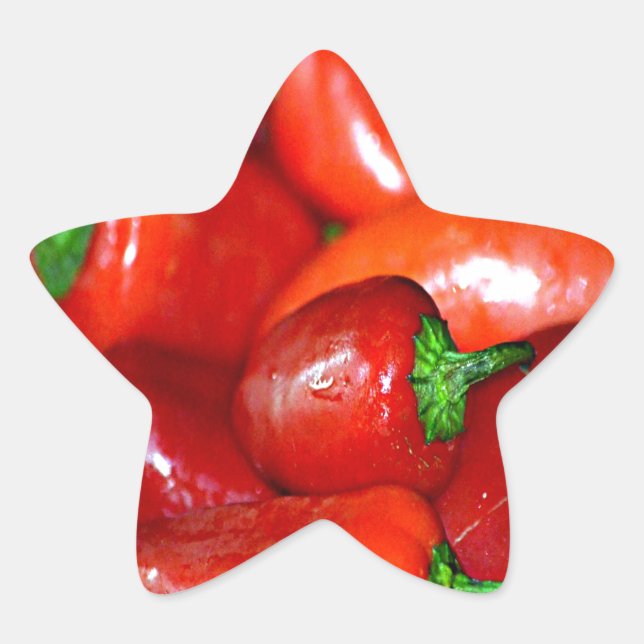 Paprikaschoten des neuen Mexiko-Chilis (Chile) Stern-Aufkleber (Vorderseite)