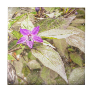 Paprikaschoten Fliese