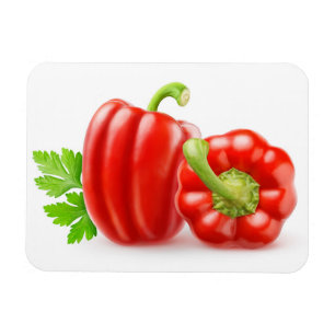 Paprikaschoten Magnet