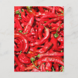 Paprikaschoten Roter Chili im Freien in der Sommer Postkarte