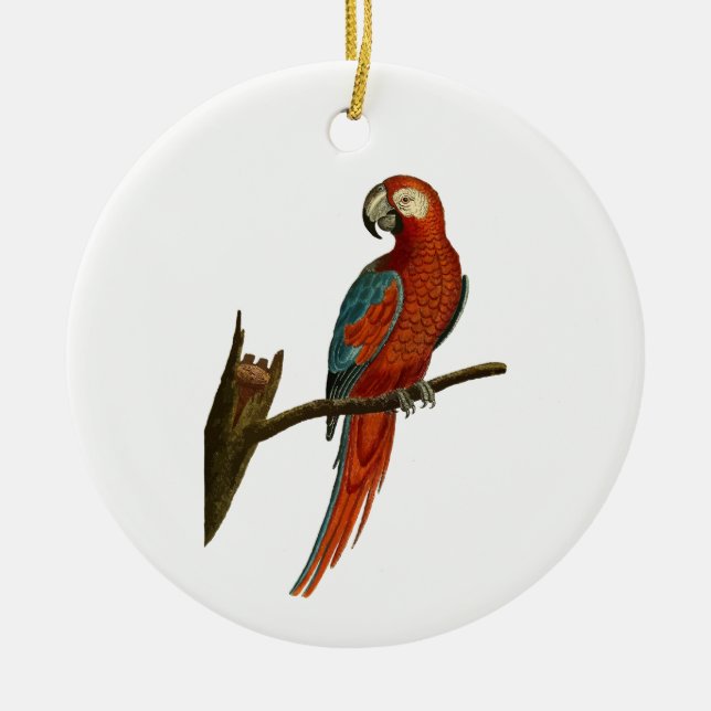 Paprot Keramikornament (Vorne)