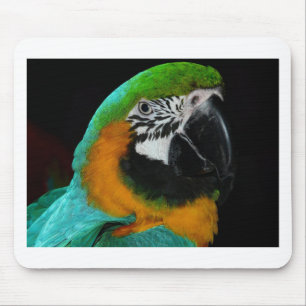 Paprot Mousepad